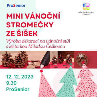 Výroba dekorací na vánoční stůl s lektorkou Miladou Češkovou.